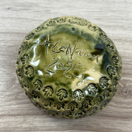 Zielona Czarka we Wzorki