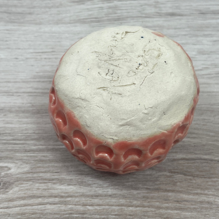 Jasnoczerwona Mała Czarka