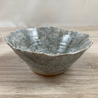 Nakrapiana Miska Skorupka